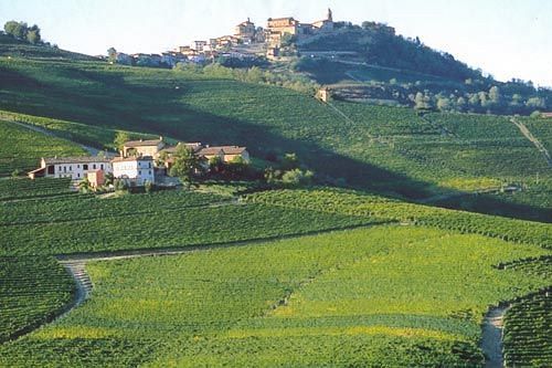 Cascina Rocca - Guest House Castiglione Falletto Luaran gambar